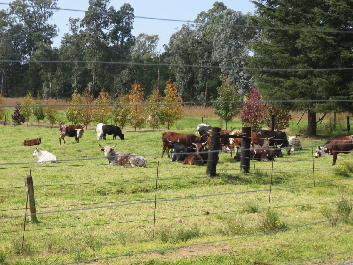 Dunroamin Bed And Breakfast Mooi Rivier Esterno foto